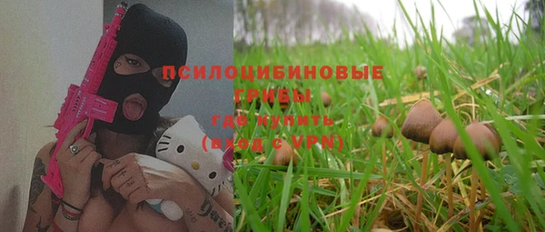 СК Алексеевка