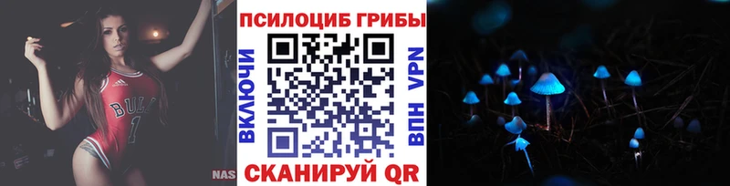 Псилоцибиновые грибы Psilocybine cubensis  Белая Калитва 
